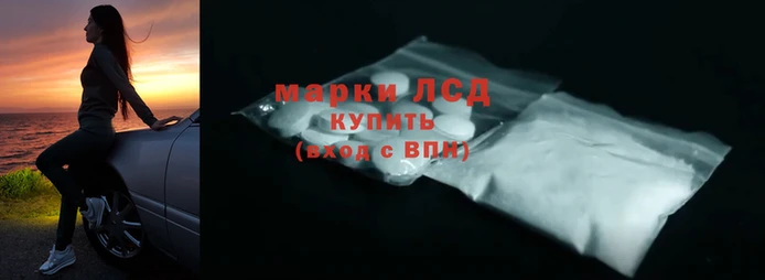 стафф Алзамай