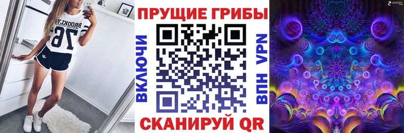 Псилоцибиновые грибы мицелий  Купить  Краснообск 